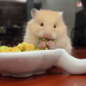 1 (4).gif