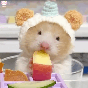 4.gif