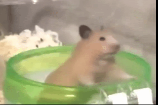 3.gif