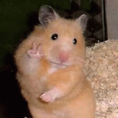 When raising dwarf hamsters, attention should be paid to cage selection, diet matching, hygiene mana